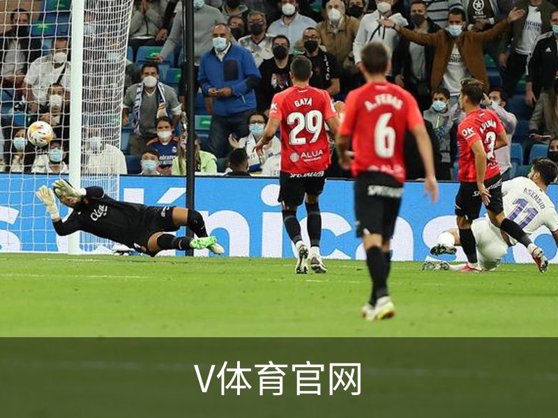 V体育官网简介